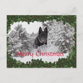 黒犬パーソナライズされた付きクリスマスハガキ シーズンポストカード