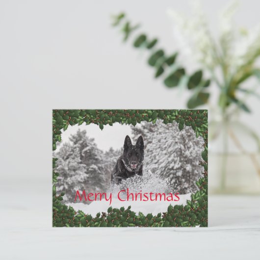 黒犬パーソナライズされた付きクリスマスハガキ シーズンポストカード (スタンド正面)