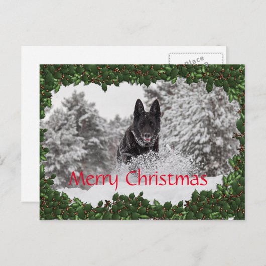 黒犬パーソナライズされた付きクリスマスハガキ シーズンポストカード (正面/裏面)