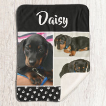 黒犬ペット愛人写真コラージュパワープリント