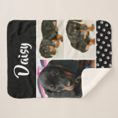 黒犬ペット愛人写真コラージュパワープリント シェルパブランケット (正面(横))