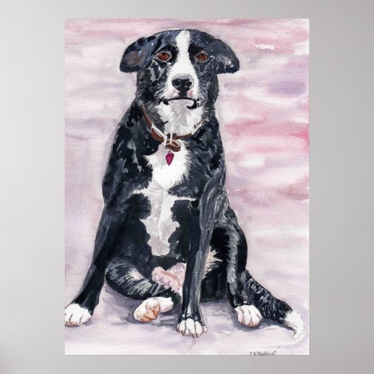 黒犬ポスター ポスター (正面)