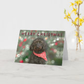 黒犬ラブラドール・クリスマス カード (黄色い花)