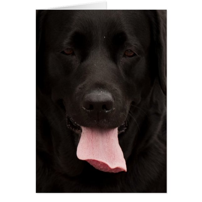 黒犬顔 (正面)