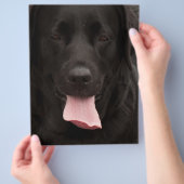 黒犬顔 チラシ (手)