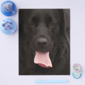 黒犬顔 チラシ (シングル)