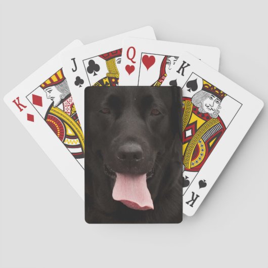 黒犬顔 トランプ (裏面)