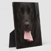黒犬顔 フォトプラーク (側面)