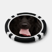 黒犬顔 ポーカーチップ (シングル)