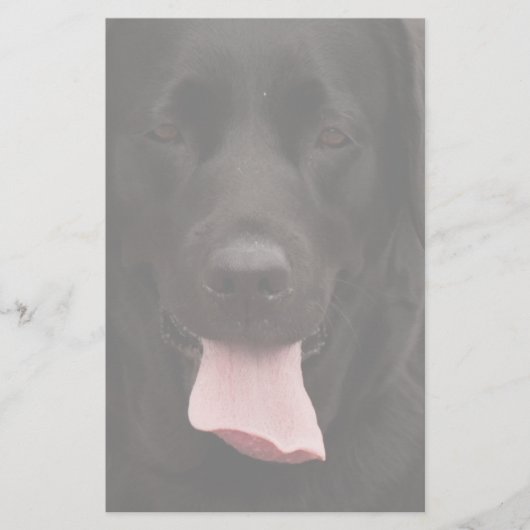 黒犬顔 便箋 (正面)