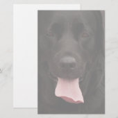 黒犬顔 便箋 (正面/裏面)