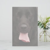 黒犬顔 便箋 (スタンド正面)
