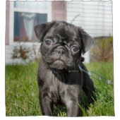 黒犬 シャワーカーテン (正面)