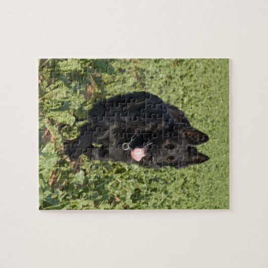 黒犬 ジグソーパズル (横)