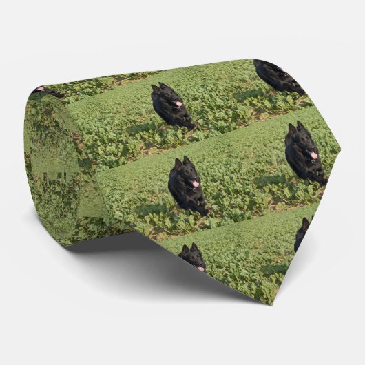 黒犬 ネクタイ (ロール)