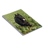 黒犬 ノートブック (右側)