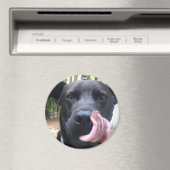 黒犬 マグネット (インサイチュ (食洗機))