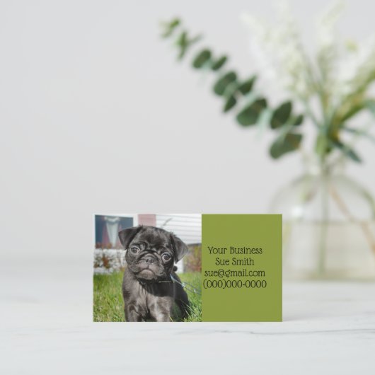 黒犬 名刺 (スタンド正面)