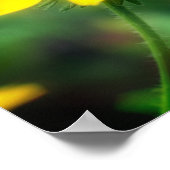 黒独身の目スーザンデイジーフラワー ポスター (角)