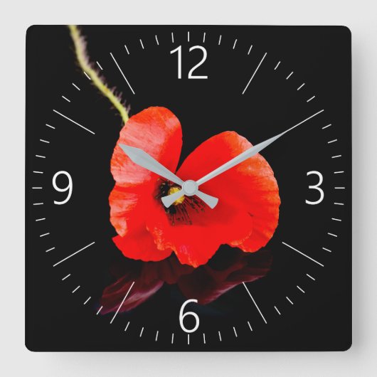 黒独身の色のケシ スクエア壁時計 (正面)