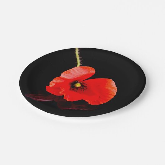 黒独身の色のケシ ペーパープレート (アングル)