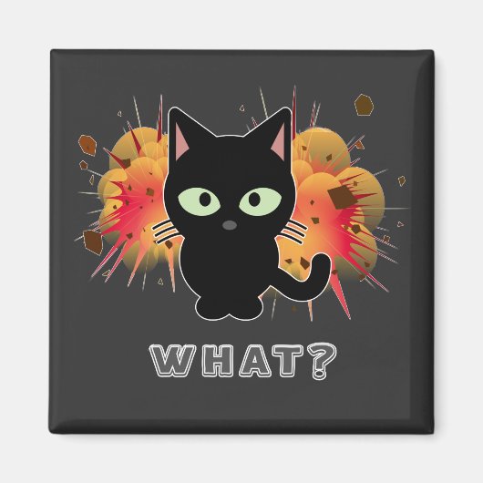 黒猫おもしろいかわいい子猫好きのペットのユーモア マグネット (正面)