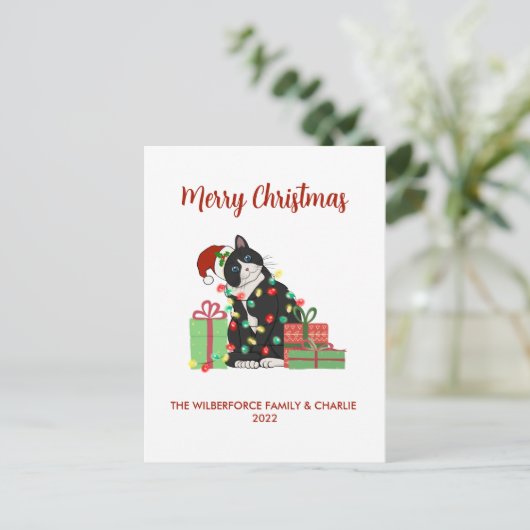 黒猫おもしろいとクリスマスのライトクリスマス シーズンポストカード (スタンド正面)