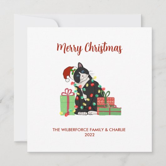 黒猫おもしろいとライトクリスマス シーズンカード (正面)
