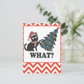 黒猫おもしろいクリスマスツリー葉書 シーズンポストカード (スタンド正面)