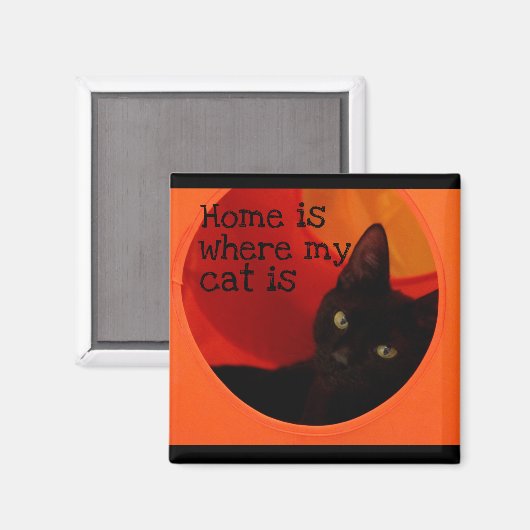 黒猫お洒落金ゴールドアイズ冷凍機磁石 マグネット (正面/裏面)