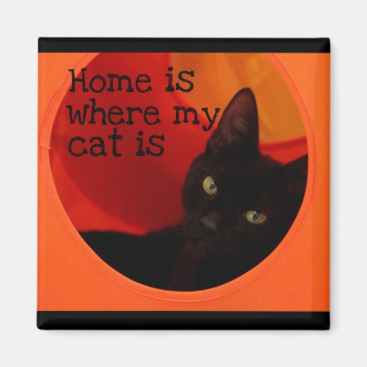 黒猫お洒落金ゴールドアイズ冷凍機磁石 マグネット (正面)