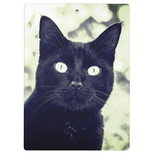 黒猫かわいい動物の写真パーソナライズされた名 クリップボード (裏面)