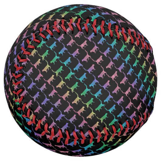 黒猫か君の色の虹の猫 ソフトボール (正面左)