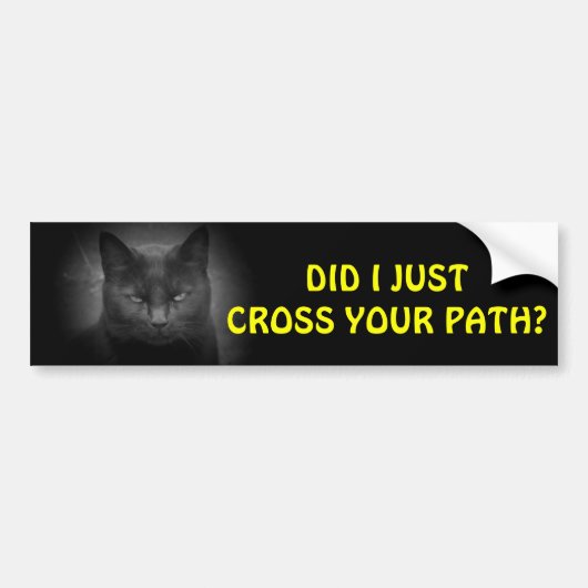 黒猫があなたの前に通りました バンパーステッカー (正面)