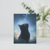 黒猫が星空を見上げる ポストカード (スタンド正面)