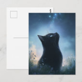 黒猫が星空を見上げる ポストカード (正面/裏面)