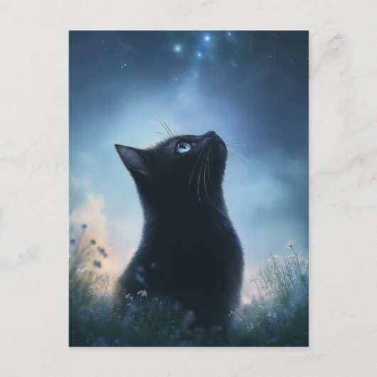 黒猫が星空を見上げる ポストカード (正面)
