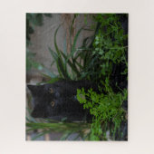 黒猫が植物に隠される520点 ジグソーパズル (縦)