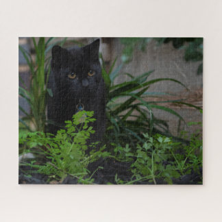 黒猫が植物に隠される520点 ジグソーパズル