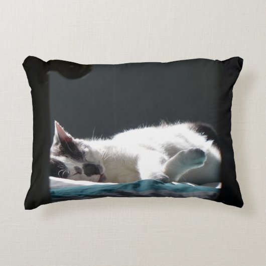 黒猫が邪魔をしない アクセントクッション (正面)