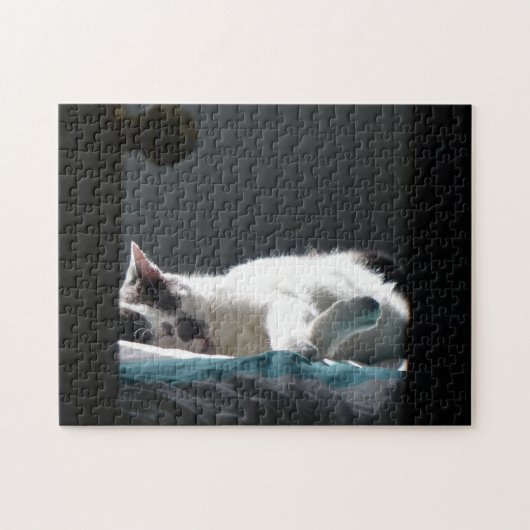 黒猫が邪魔をしない ジグソーパズル (横)