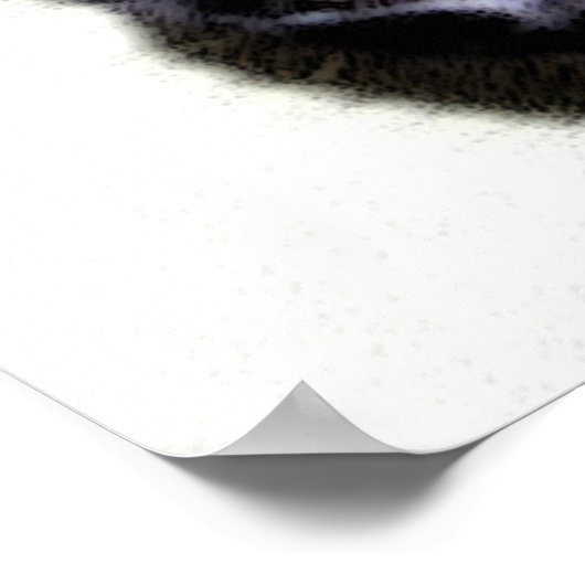 黒猫すみお ポスター (角)