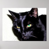 黒猫すみお ポスター (正面)