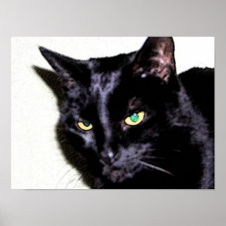 黒猫すみお ポスター