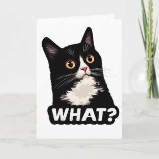 黒猫って何？ カード