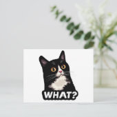 黒猫って何？ ポストカード (スタンド正面)