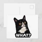 黒猫って何？ ポストカード (正面/裏面)