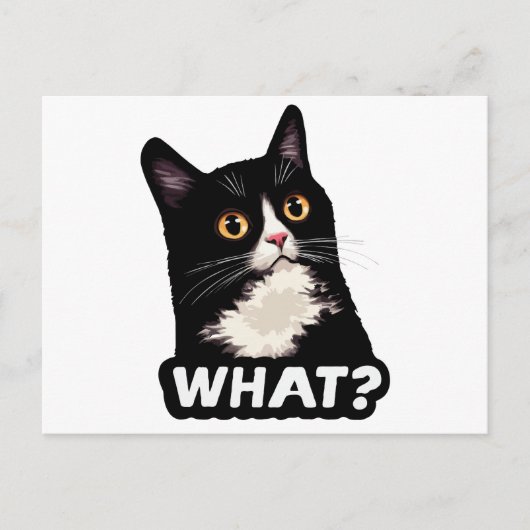 黒猫って何？ ポストカード (正面)