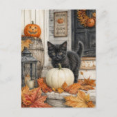 黒猫とかぼちゃ | ハッピーハロウィン ポストカード (正面)