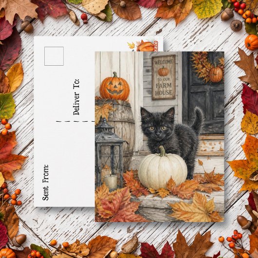 黒猫とかぼちゃ | ハッピーハロウィン ポストカード